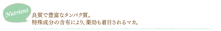 良質で豊富なタンパク質。特殊成分の含有により、薬効も着目されるマカ。