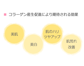 コラーゲン産生促進により期待される効果